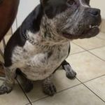 Kenneth Roundtree - @kennethroundtree - Instagram