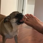 kenneth rummel - @ynnek4 - Instagram