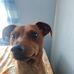 Kenny Runkle - Facebook