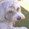 Kenneth Salisbury - @kenneth.salisbury4 - TikTok