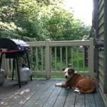 Kenneth Salisbury - @saliske2 - Instagram