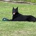 Kenneth Sam - Facebook