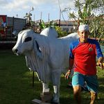 Kenneth Sandi - @kenneth.sandi - Instagram