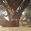 kennethscheller - @kennethscheller - TikTok