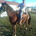 Kenny Schutte - Facebook