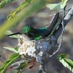 Kenneth J. Senior - @kennethsenior - Instagram