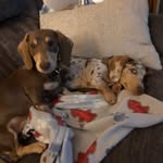 Kenneth Shafer - @shafer_kenneth - Instagram
