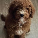 Kenny Shows - @kennethshows - Instagram