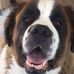 Ken Sirois - Facebook