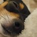 Kenny Spradlin - Facebook