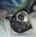 Kenneth Stambaugh - Facebook