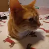 Kenneth stancil - @kenken24685 - TikTok