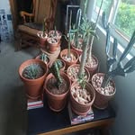 Kenneth Stauffer - @kenneth_stauffer - Instagram
