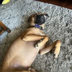 Kenny Stauffer - Facebook