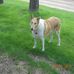 Ken Judy Stenzel - Facebook