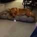 Ken Stoneman - Facebook