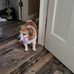 Kenneth Stoneman - Facebook