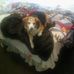 Kenneth Stoops - Facebook