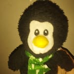 kenne Torero - @platopalito_ - Instagram