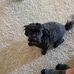 Ken Stripling - Facebook