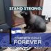 Kenneth Stripling - Facebook