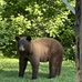 Kenneth Styer - Facebook