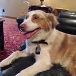 Kenneth Sutton - @kensutton15 - Instagram