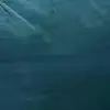 Kenneth Sutton - @kenneth.sutton53 - TikTok