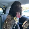 Kenneth Tadlock - @kennethtadlock1 - TikTok