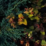 Kenneth Talbott - @talbott7787 - Instagram
