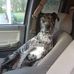 Kenneth Thacker - Facebook