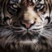 Ken Tinker - Facebook