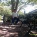 Kenneth Trimmer - Facebook