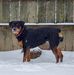 Kenny Trueman - Facebook