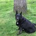 Ken Umbarger - Facebook