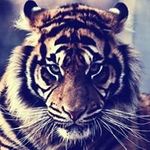Kenneth Varela - @kenneth12varela - Instagram