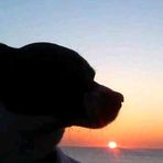 Kenny Walmsley - Facebook