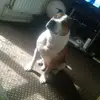 Keith Wareham - @keithwareham - TikTok