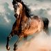 Mr. Kenneth Wehner I - Facebook