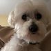 Ken Werth - Facebook