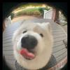 Kenneth widjaja - @kenneth.tan.1504 - TikTok