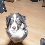 Kenneth Wind - @kenneth.wind.94 - Instagram
