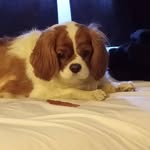 Kenneth Windsor - @kenneth.windsor.58 - Instagram