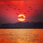 Kenneth Yoder - @sergerof - Instagram