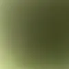 Kenneth Yoder - @kennethyoder5112 - TikTok