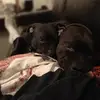 Kenny Andersen - @kenny.andersen7 - TikTok