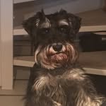 Kenny Andersen - @kenny.andersen - Instagram
