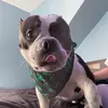 kennyarias673 - @kennyarias673 - TikTok