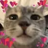 Ashley Kenny - @ashley.kenny62 - TikTok