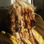 Barry Kenny - @barry.kenny3 - Instagram